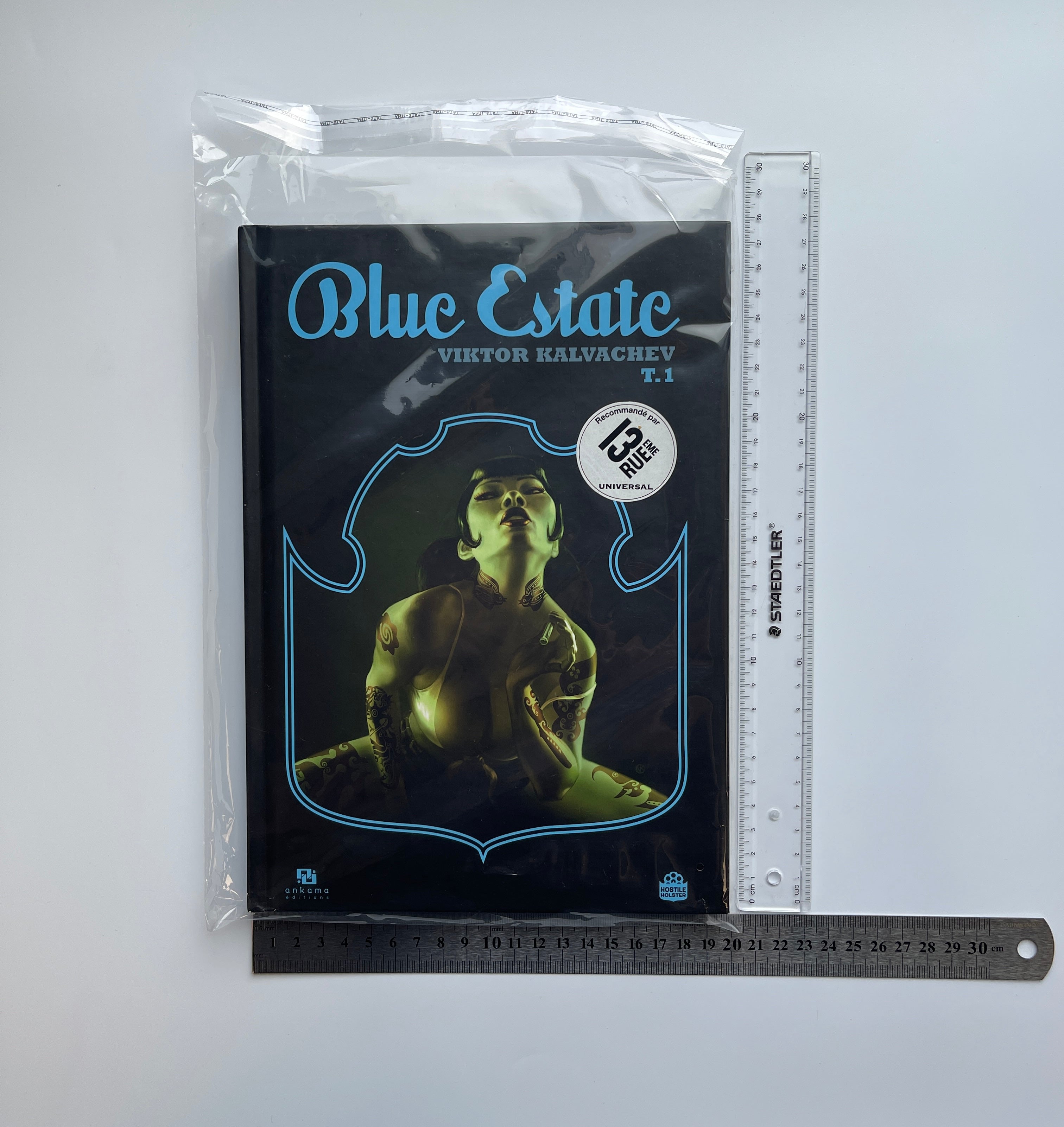 Lot de Pochettes Plastiques de Protection pour BD - Taille : 225x310 mm / 50 µm (format A4)