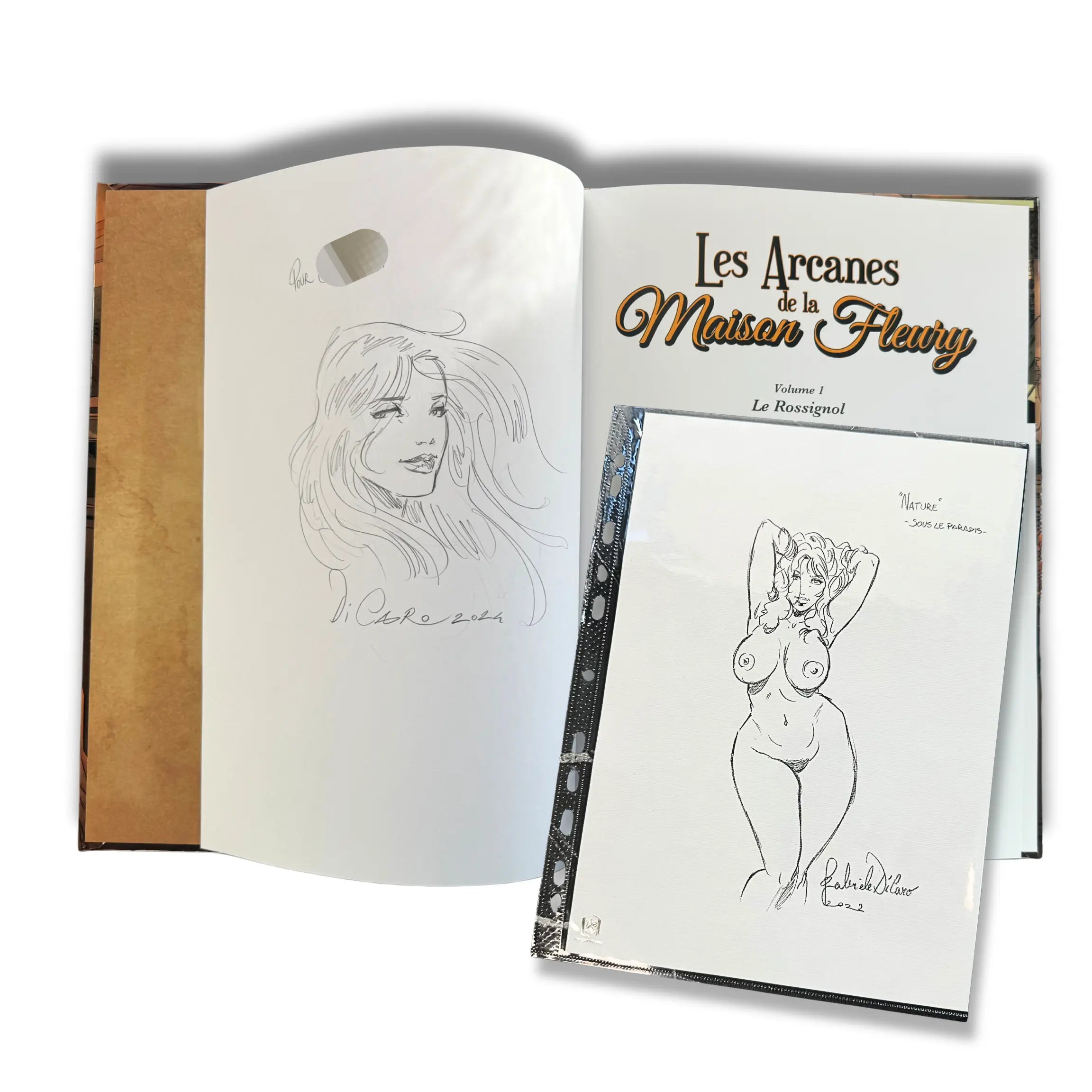 Les arcanes de la maison fleury, T1 - 2 x Dédicace de Gabrilele Di Caro (Dessin original A4)  - 2021