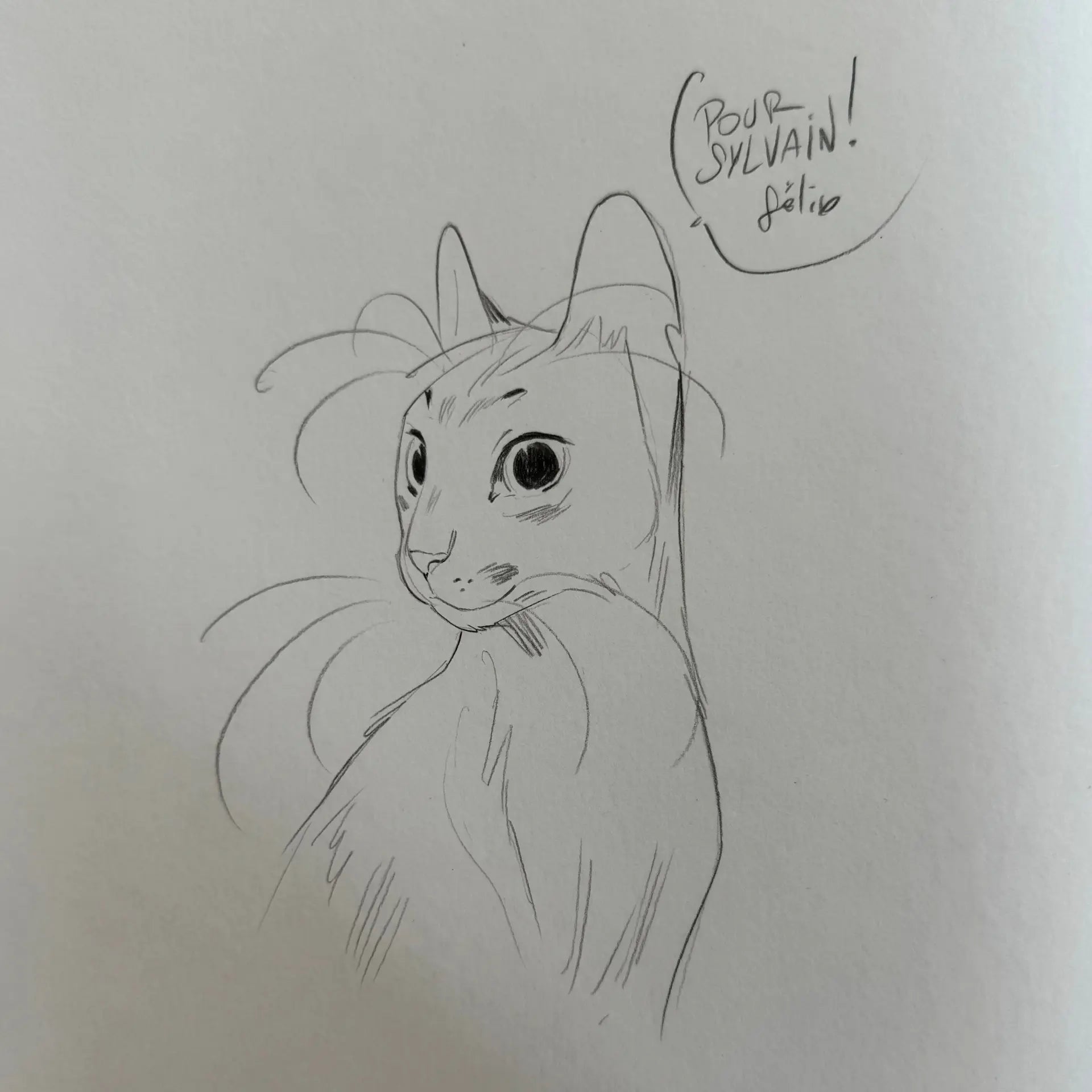 Le château des Animaux T1 : Tirage limité à 3000 - Dédicace de Delep + Ex-libris + La Gazette du Château numéroté - EO 2019